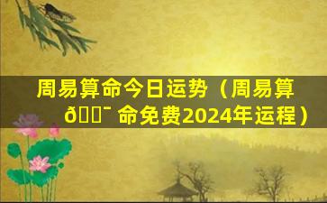 周易算命今日运势（周易算 🐯 命免费2024年运程）